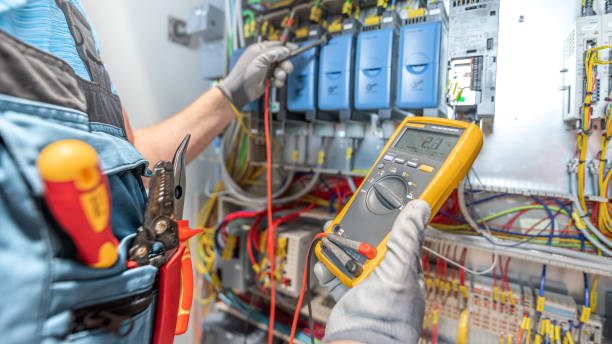 Best Electric Panel Repair  in Sandy Valley, NV